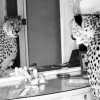Cheetah looking in mirror