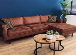 Loungebank Westervoort