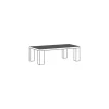 Salontafel T13-L Toornwerd