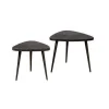 Viola Driehoek Salontafel Set of 2