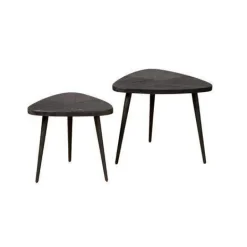 Viola Driehoek Salontafel Set of 2